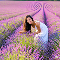 Provence tips & infos