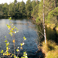 Rejvíz & Gold Ore Mills