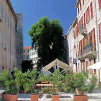 Vence